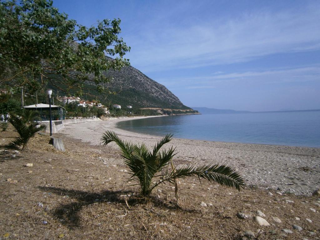 Petros Studios Poros (Kefalonia) Exterior foto